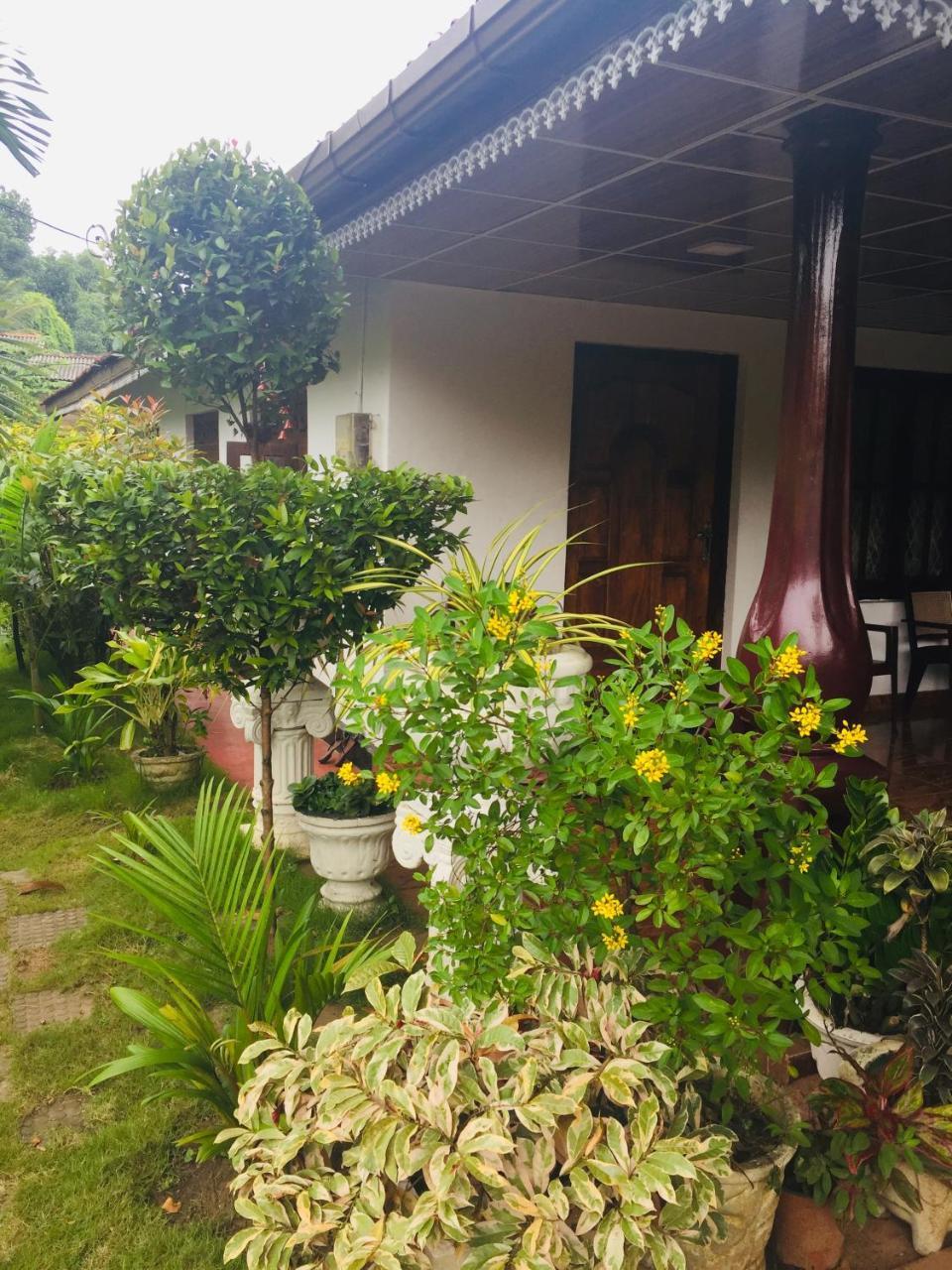 פולונרואה Malee Homestay מראה חיצוני תמונה